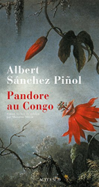 Pandore au Congo (Lettres hispaniques)